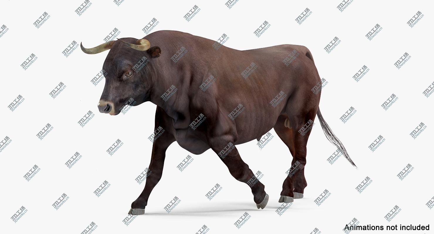 images/goods_img/2021040232/3D Bull Rigged model/3.jpg